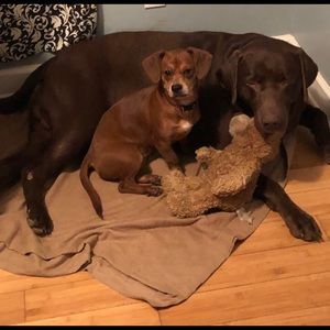 Meet your Posher, Kristie